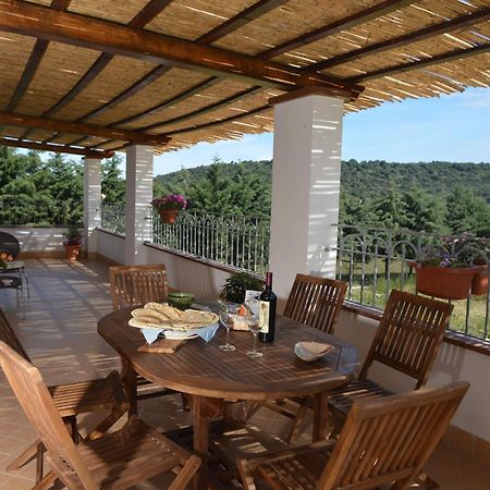 Nit I Dia Guest House Alghero Ngoại thất bức ảnh